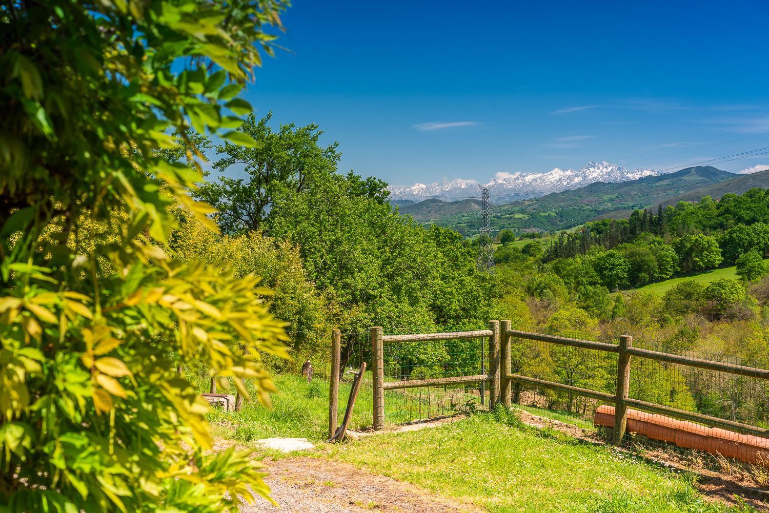 Penzion La Casona De Sovina Piloña Exteriér fotografie